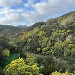 L'anita