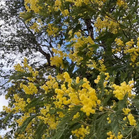 L'anita Théoule-sur-Mer