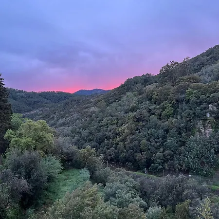 L'anita Apartamento *