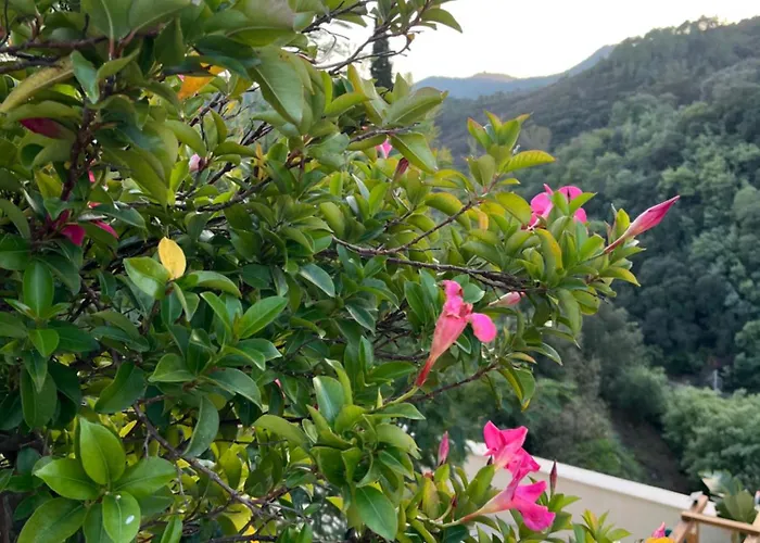 L'anita Apartamento *